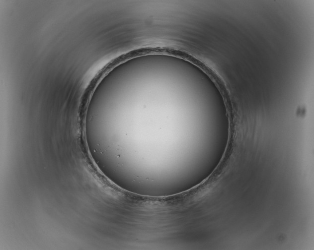 X0000111510927200907141332
