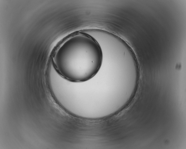 X0000111510928200907141332