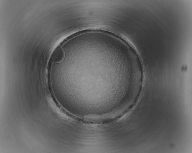 X0000111510932200907141332