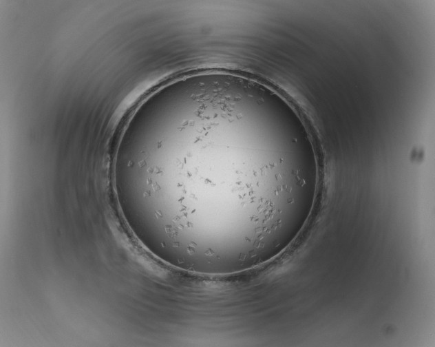 X0000111510933200907141332