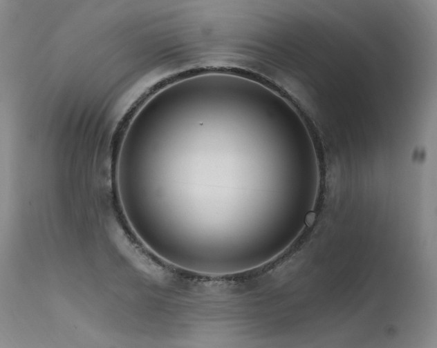 X0000111510934200907141332