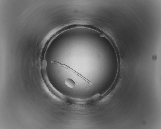 X0000111510935200907141332