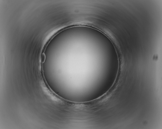 X0000111510940200907141332