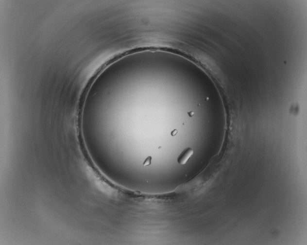 X0000111510942200907141332