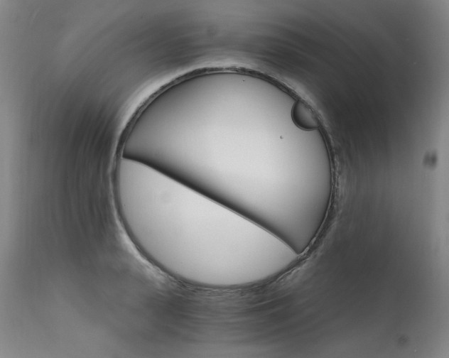 X0000111510943200907141332