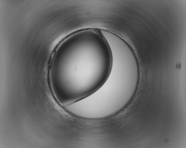 X0000111510944200907141332