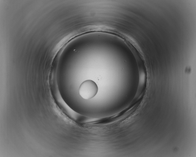 X0000111510946200907141332