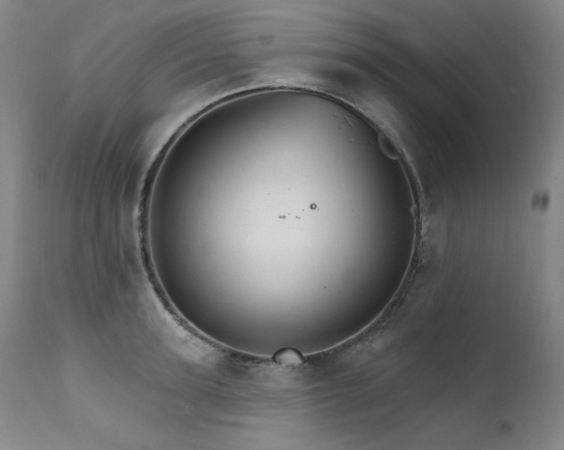 X0000111510947200907141332