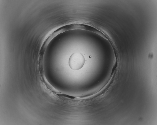 X0000111510948200907141332