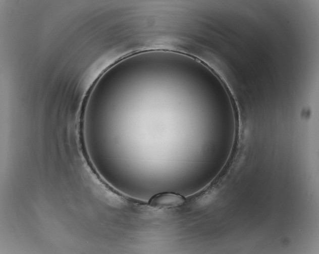 X0000111510949200907141332