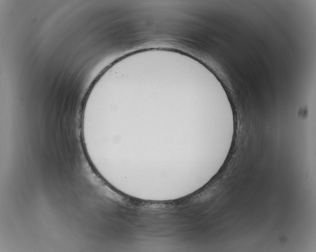 X0000111510950200907141332