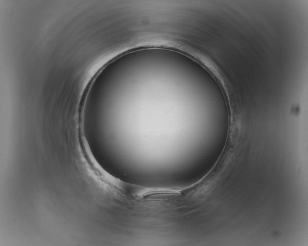 X0000111510951200907141332