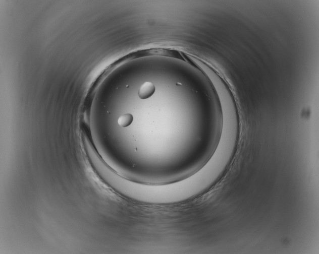 X0000111510952200907141332