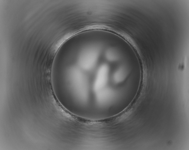 X0000111510953200907141332