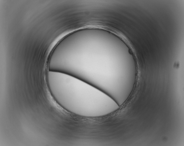 X0000111510955200907141333