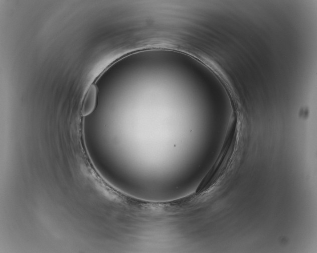X0000111510956200907141333