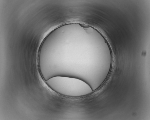 X0000111510957200907141333