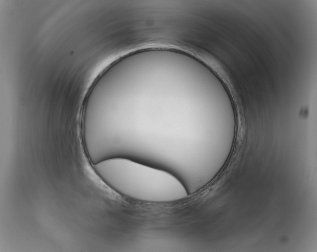 X0000111510958200907141333