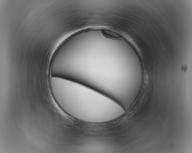 X0000111510959200907141333