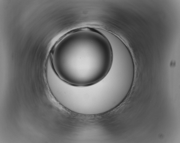 X0000111510960200907141333