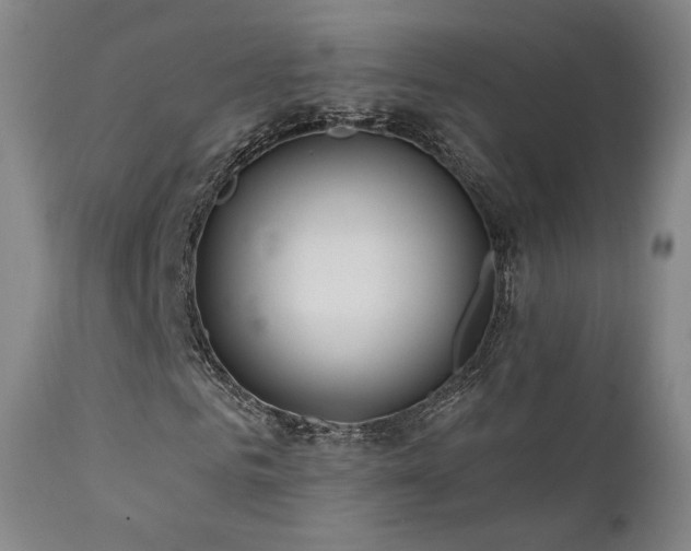 X0000111510961200907141332