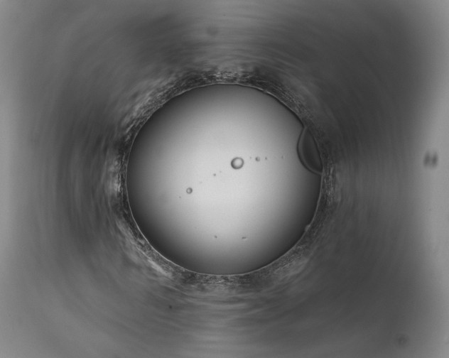 X0000111510962200907141332