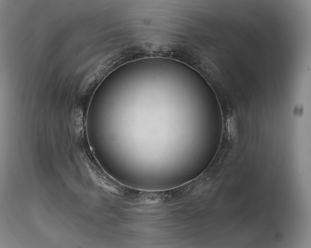 X0000111510963200907141332
