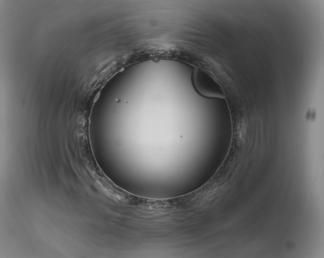 X0000111510964200907141332