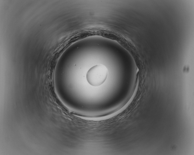 X0000111510965200907141332