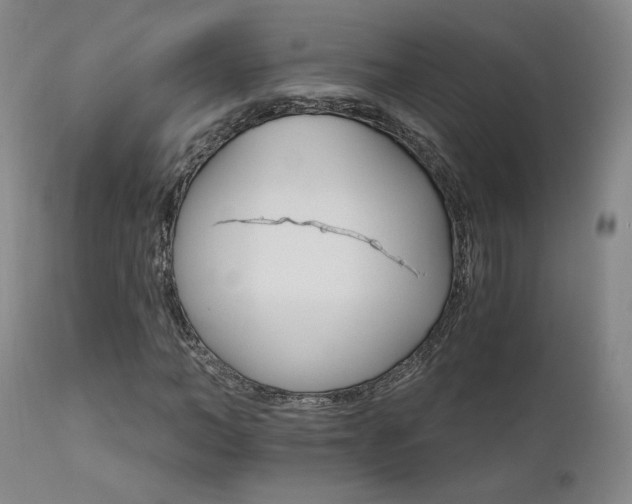 X0000111510966200907141332