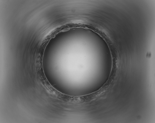 X0000111510968200907141332