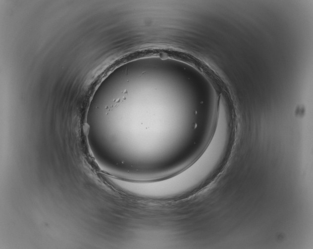 X0000111510969200907141332