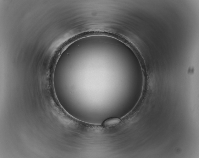 X0000111510971200907141332