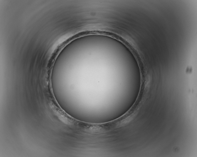 X0000111510974200907141332