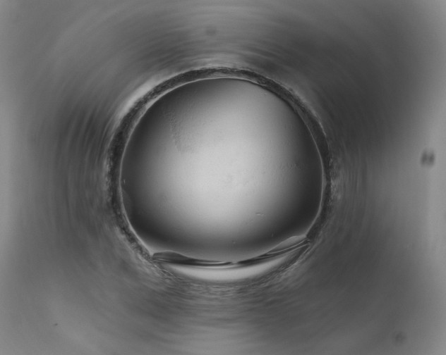 X0000111510975200907141332