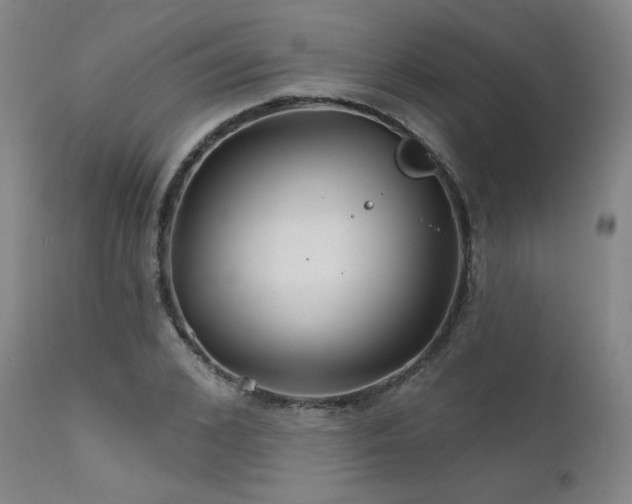 X0000111510976200907141332