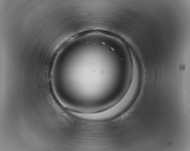 X0000111510977200907141332