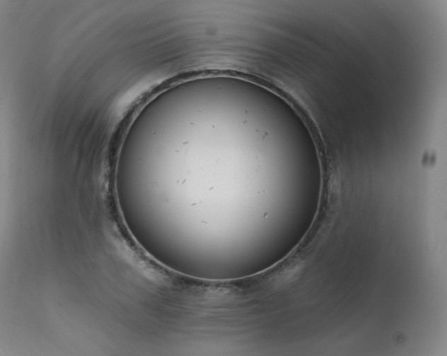 X0000111510979200907141332