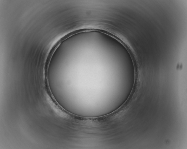 X0000111510980200907141332