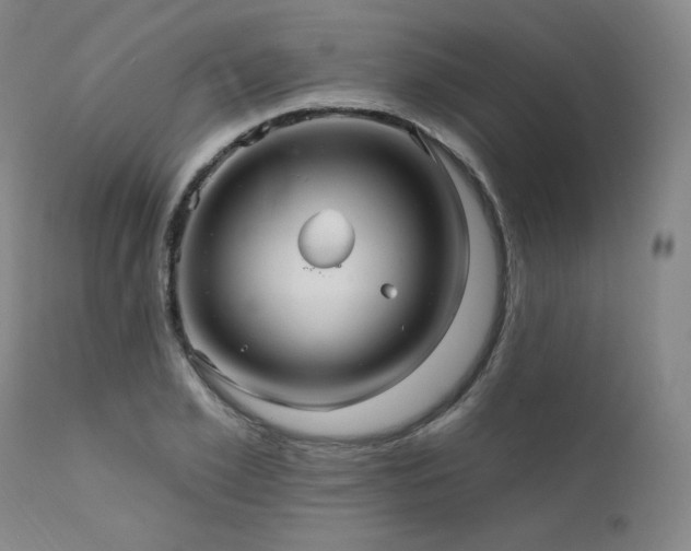 X0000111510981200907141332