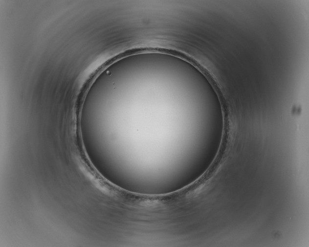 X0000111510982200907141332
