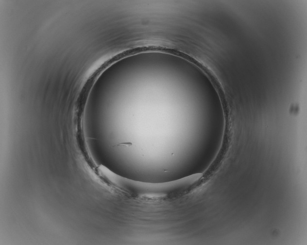 X0000111510983200907141332