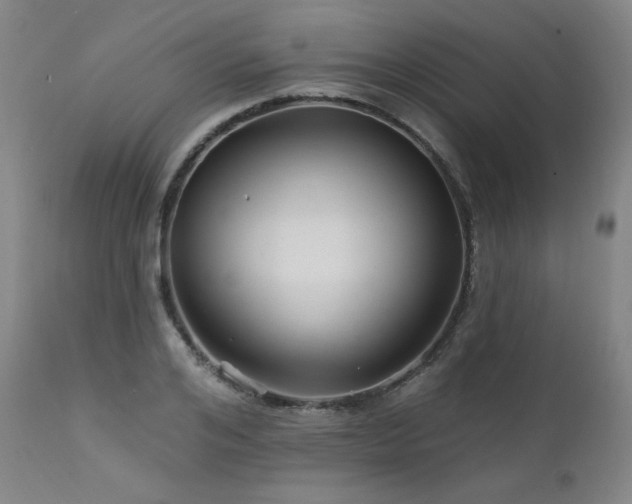 X0000111510984200907141332