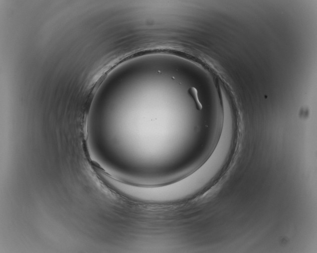 X0000111510985200907141332