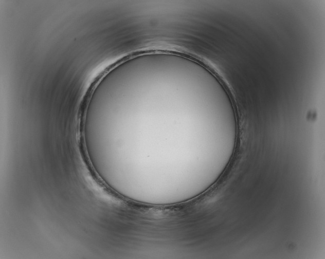 X0000111510987200907141332