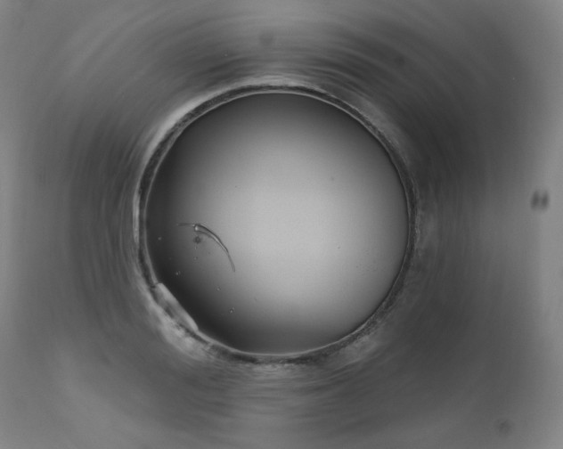X0000111510988200907141332