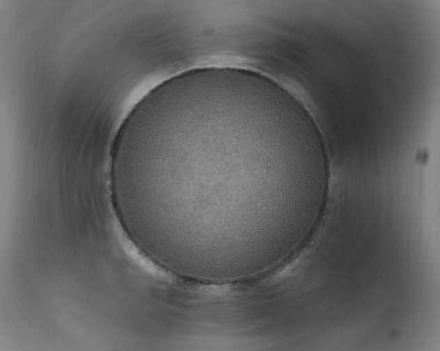 X0000111510990200907141332