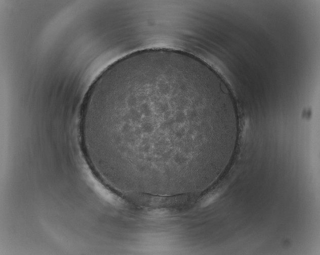 X0000111510991200907141332