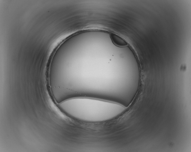 X0000111510995200907141331