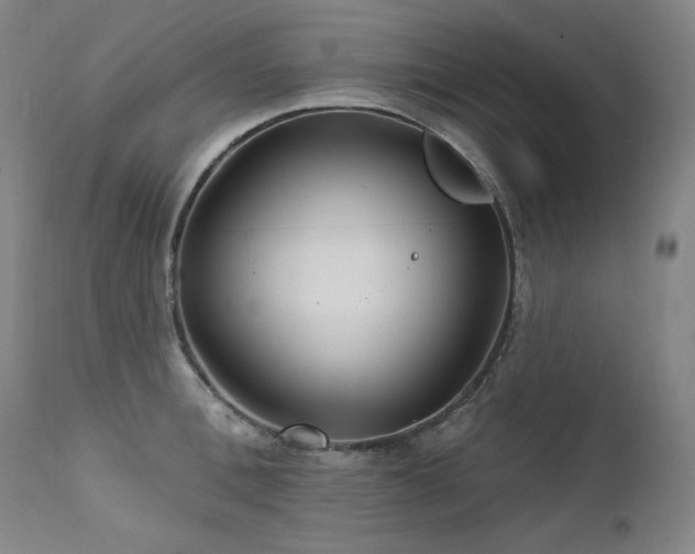 X0000111510996200907141331